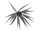 coike fish M elastomer hide up