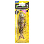 BBZ 50 silent brown trout